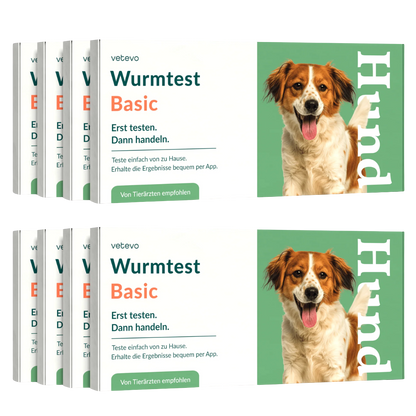 Ormetest Basis Hund Sparpakke 