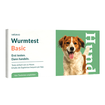Ormtest Basic Hund 