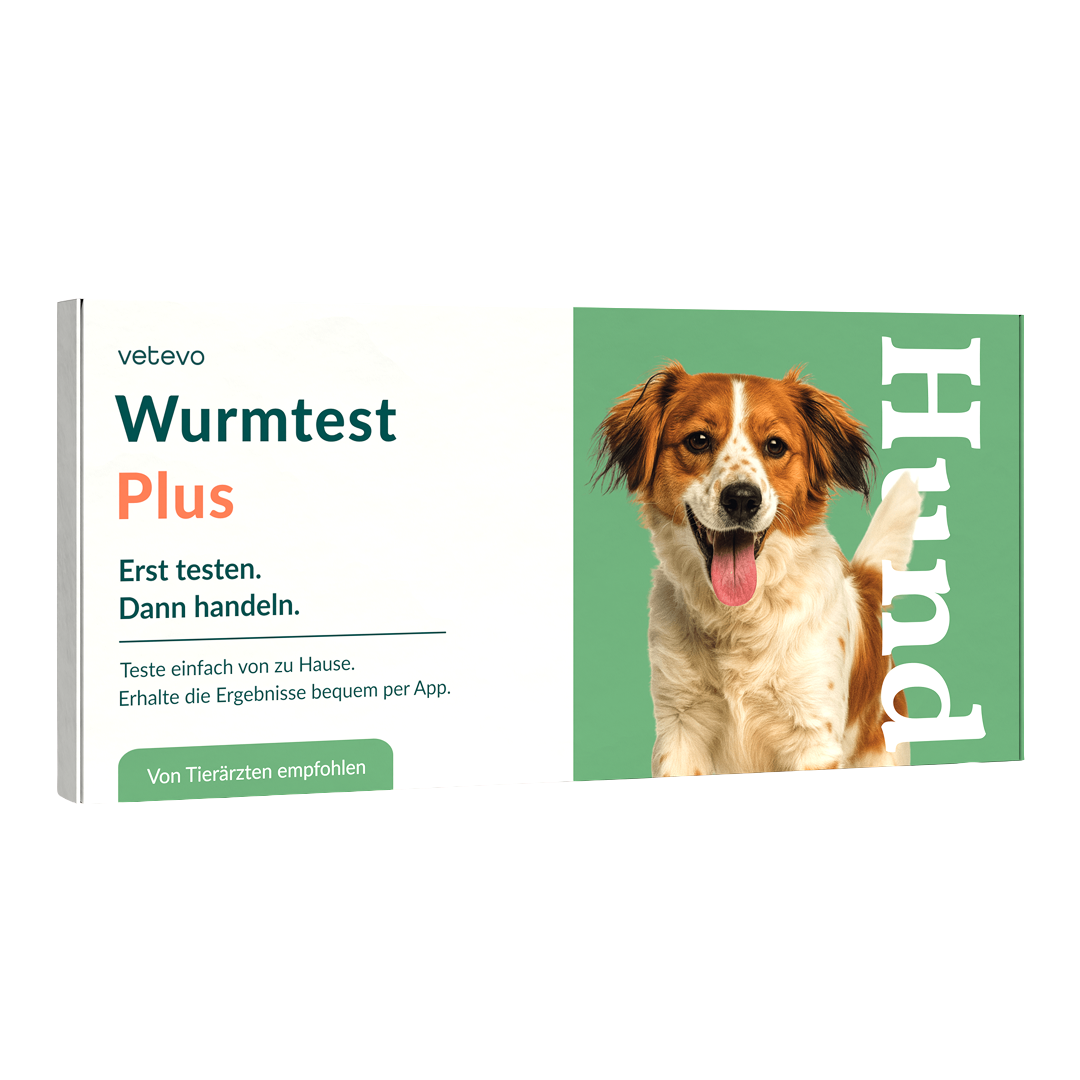 Ormetest Plus Hund 