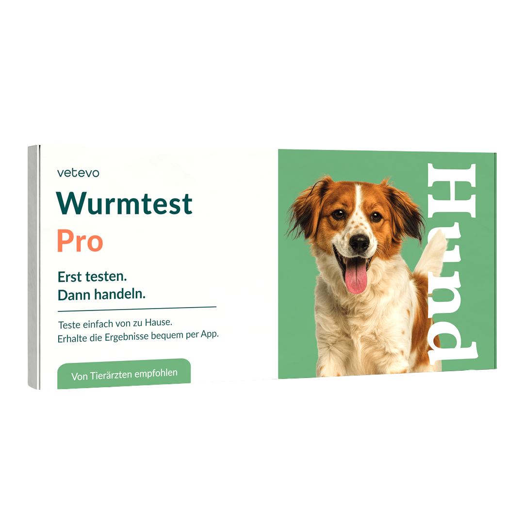 Ormtest Pro Hund 