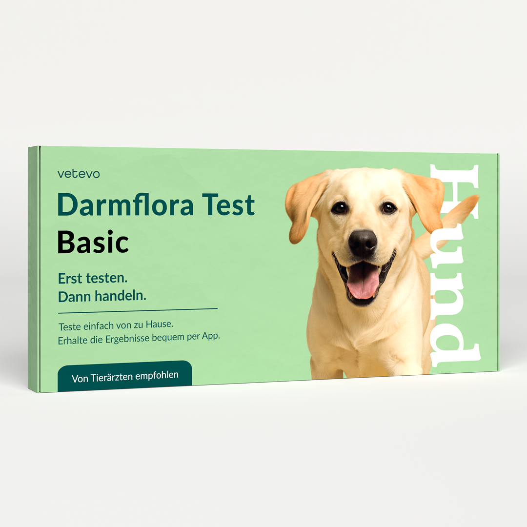 Tarmflora Test Hund 