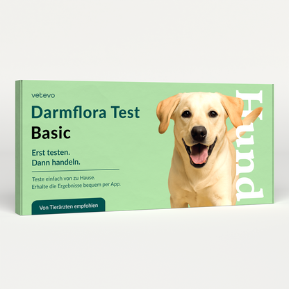 Tarmflora Test Hund 