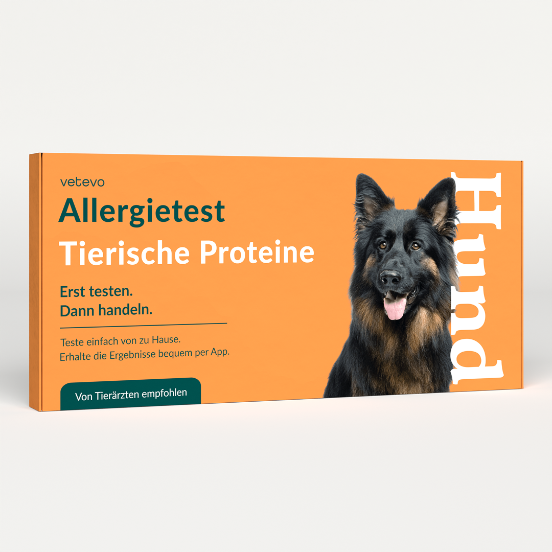 Allergitest - Dyreproteiner Hund 
