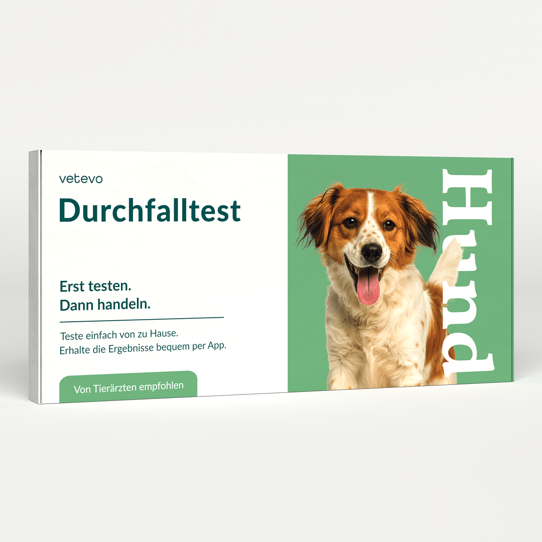 Diarré test hund 