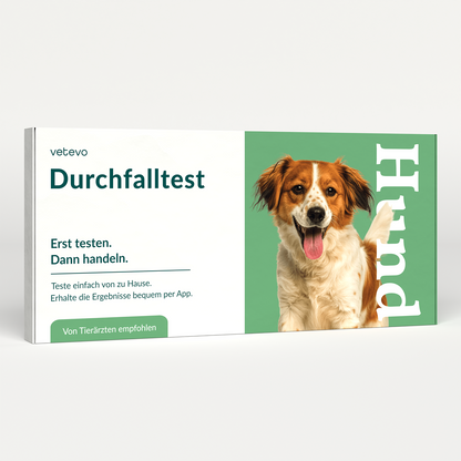 Diarré test hund 