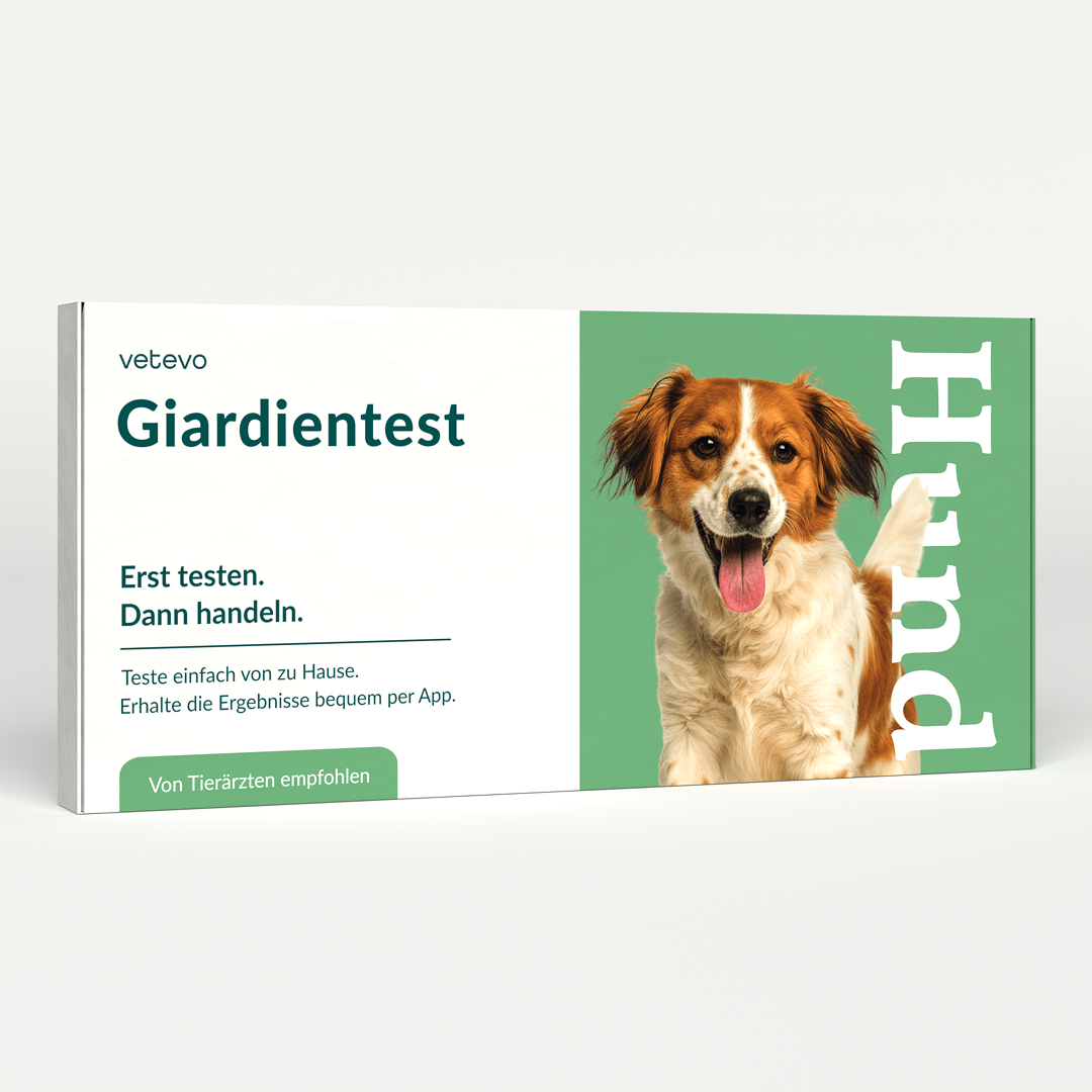 Giardiatest hund 