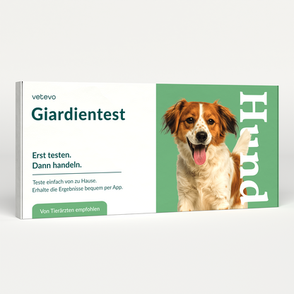Giardiatest hund 