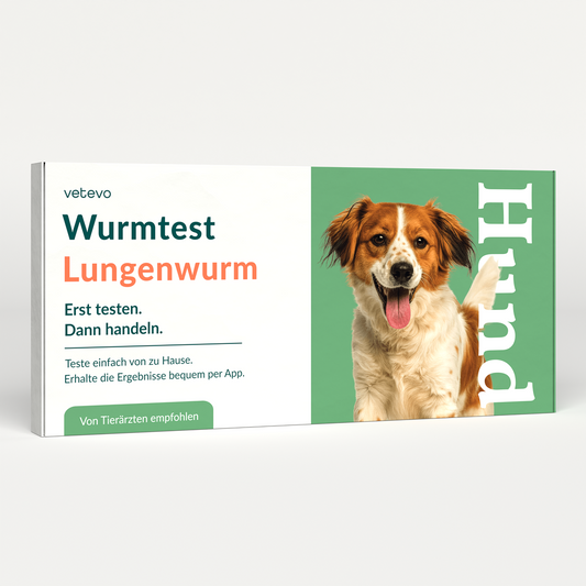 Lungeormtest Hund 