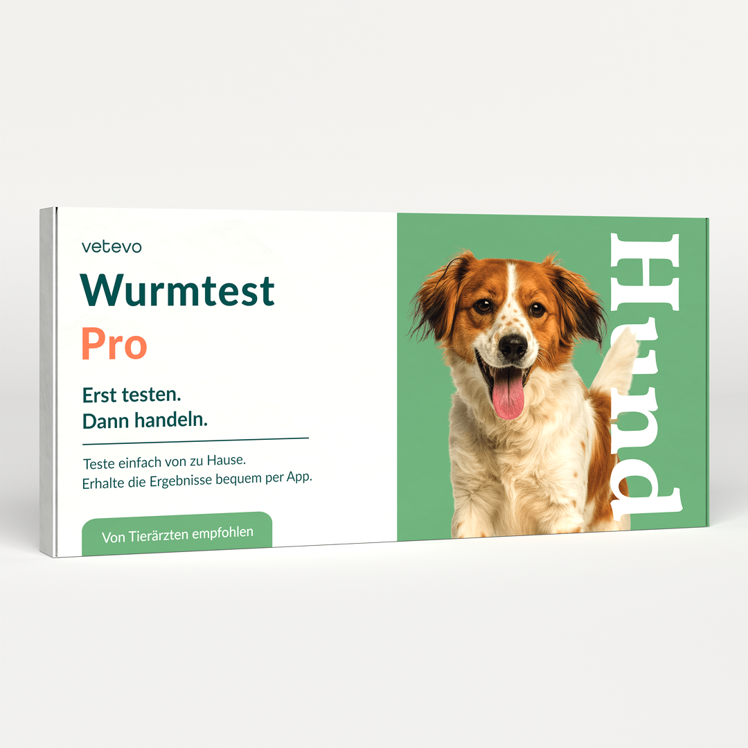 Ormtest Pro Hund 