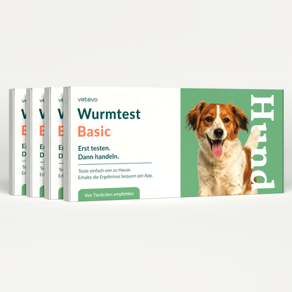 Ormetest Basis Hund Sparpakke 