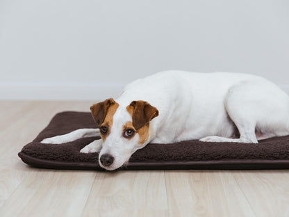 Hundemåtte HYGGE PAD 