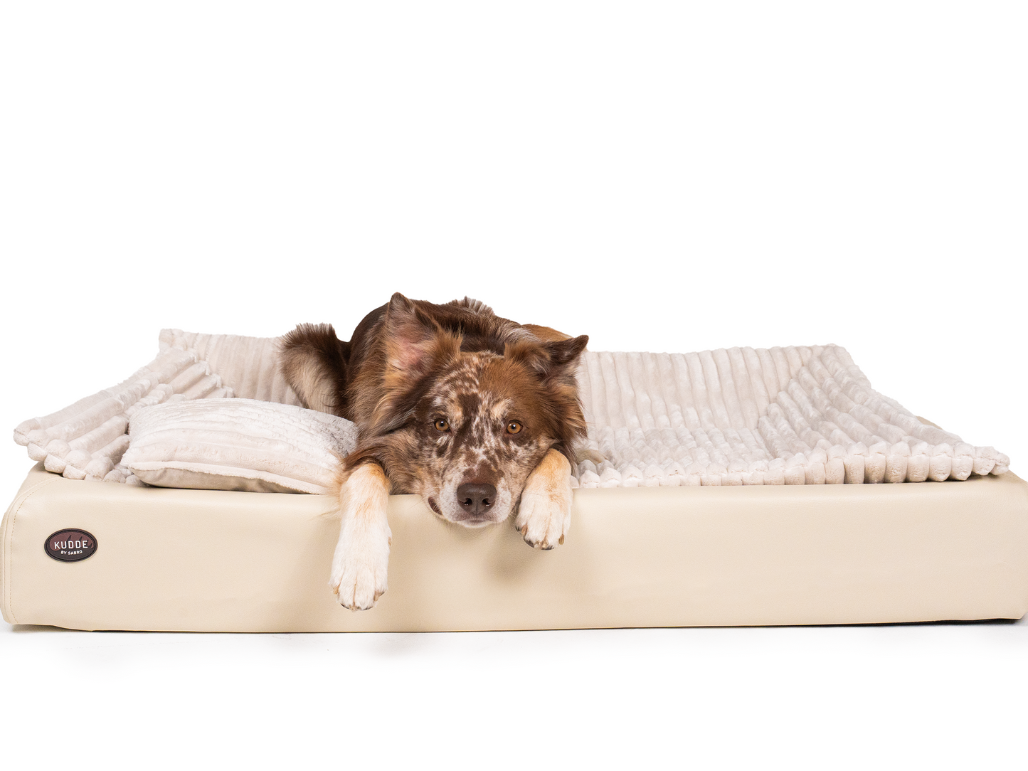 All-In Relax Bundle | KUDDE Hundebett + Einlage & Kissen