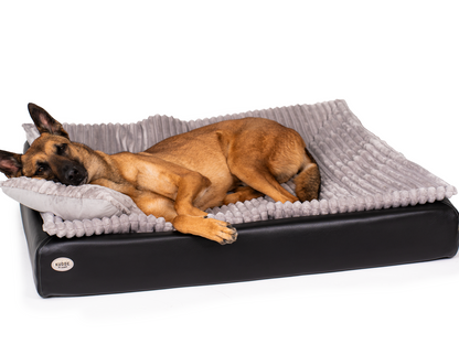 All-In Relax Bundle | KUDDE Hundebett + Einlage & Kissen