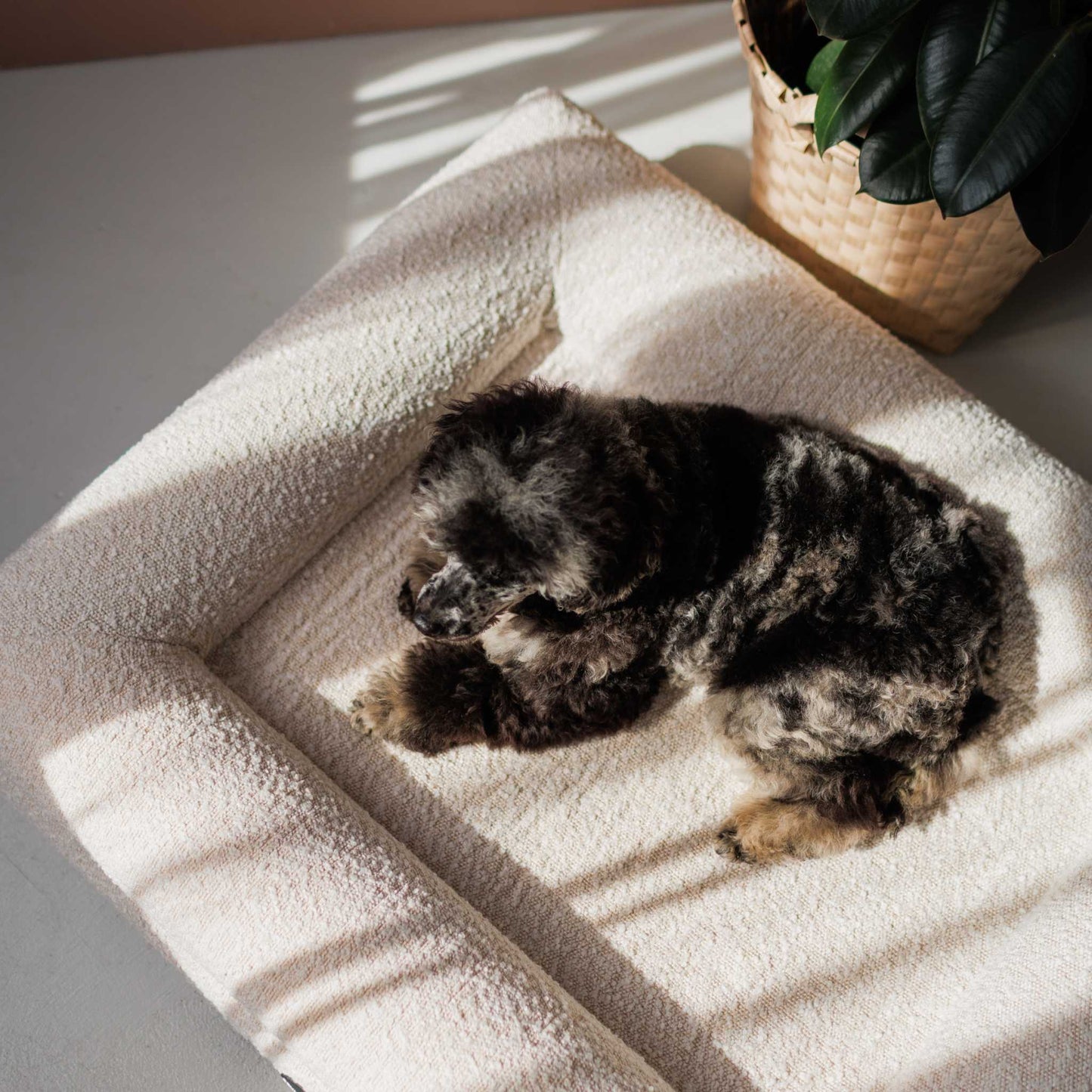 Hundeseng Barklay størrelse M med Bouclé-betræk 