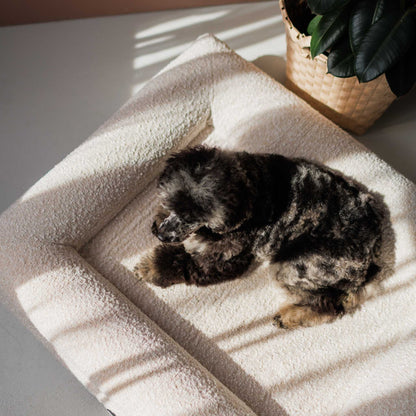 Hundeseng Barklay størrelse M med Bouclé-betræk 