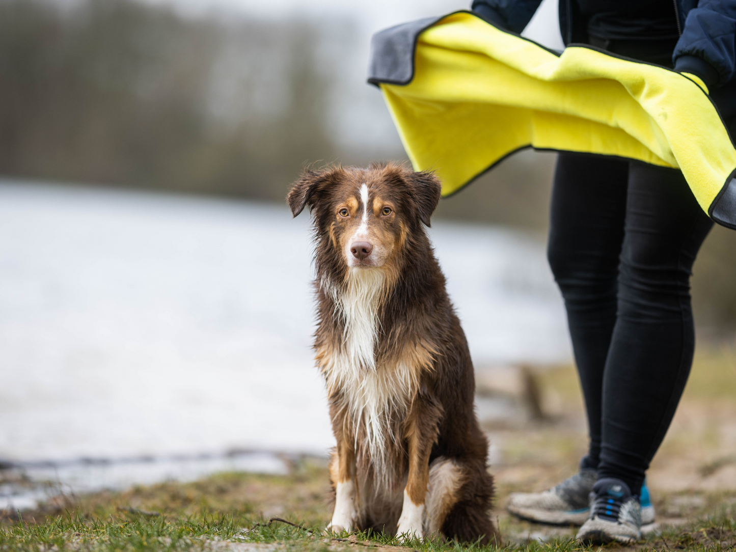 Håndklæde BUDDY til hunde 