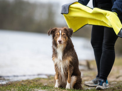 Håndklæde BUDDY til hunde 