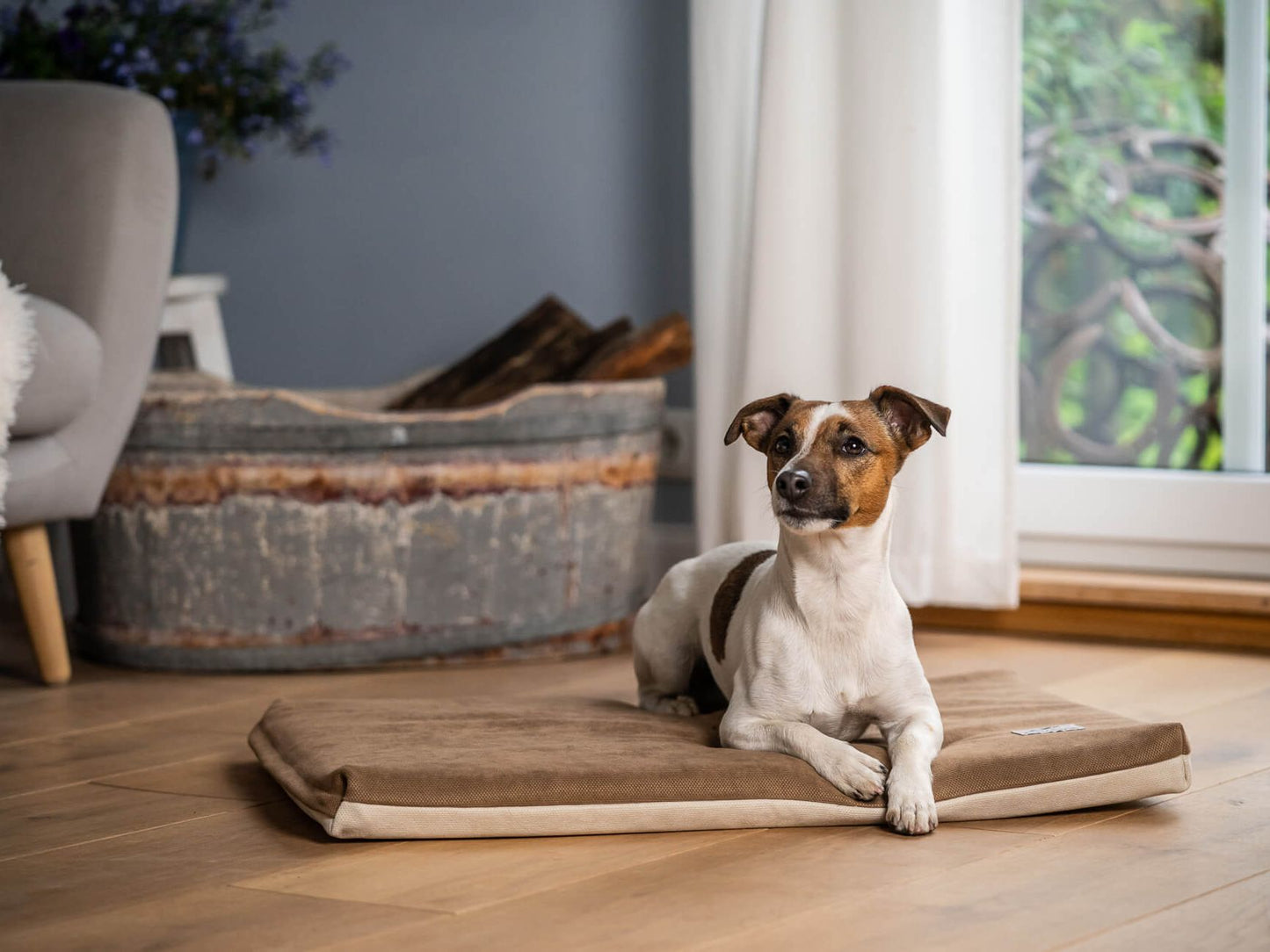 Hundemåtte JOKKMOKK Alltid