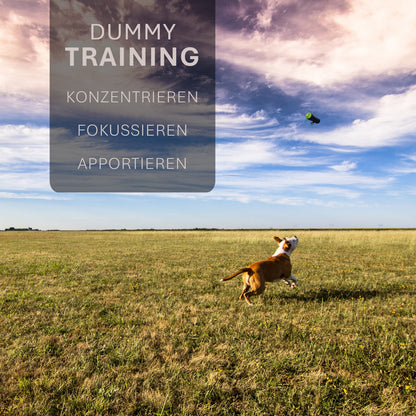 ASCO hundedummy - apporterings- og snackdummy (21x7 cm)