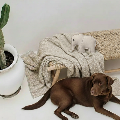 BUDDY. Hundelegetøj i læder "Elefant" 