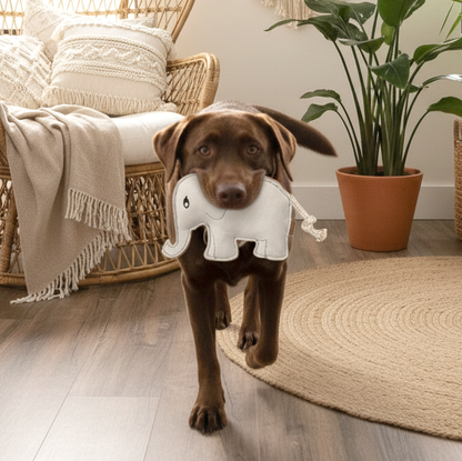 BUDDY. Hundelegetøj i læder "Elefant" 