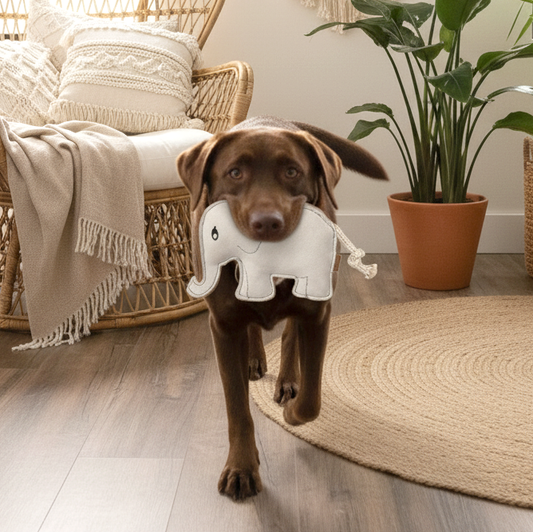 BUDDY. Hundelegetøj i læder "Elefant" 