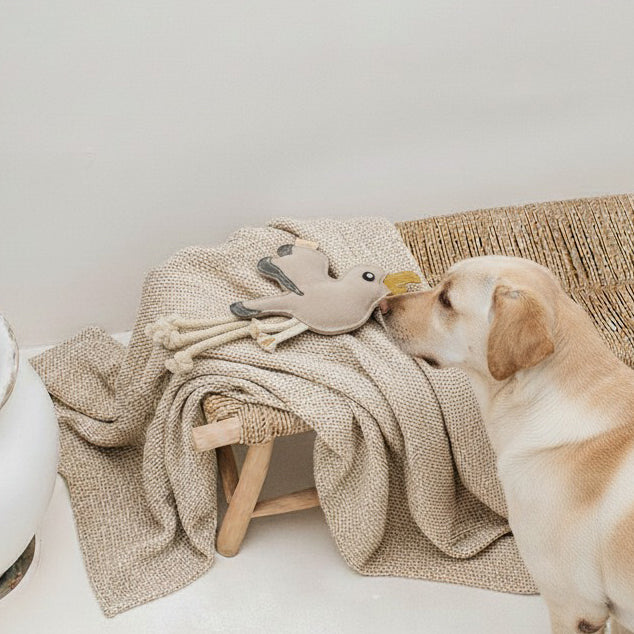 BUDDY. Hundelegetøj af læder "Måge" 