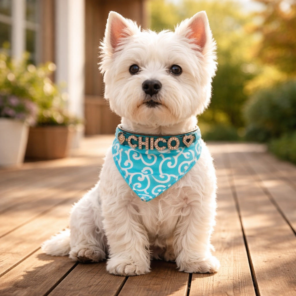 Hundebandana med navn og hundehalsbånd lavet af ægte læder. Besat med glitrende rhinestone-bogstaver