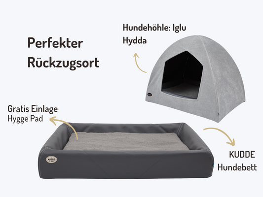 Hundehulepakke | KUDDE + Igloo Hydda