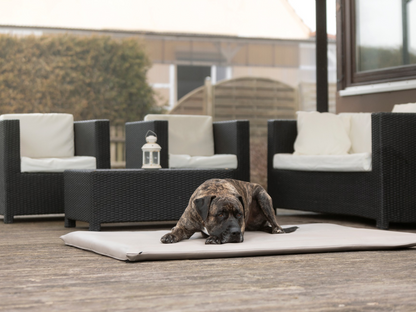 Betræk til JOKKMOKK kunstlæder 