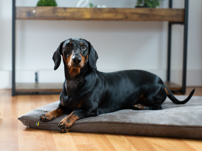 Hundeseng JOKKMOKK vegansk ruskind 