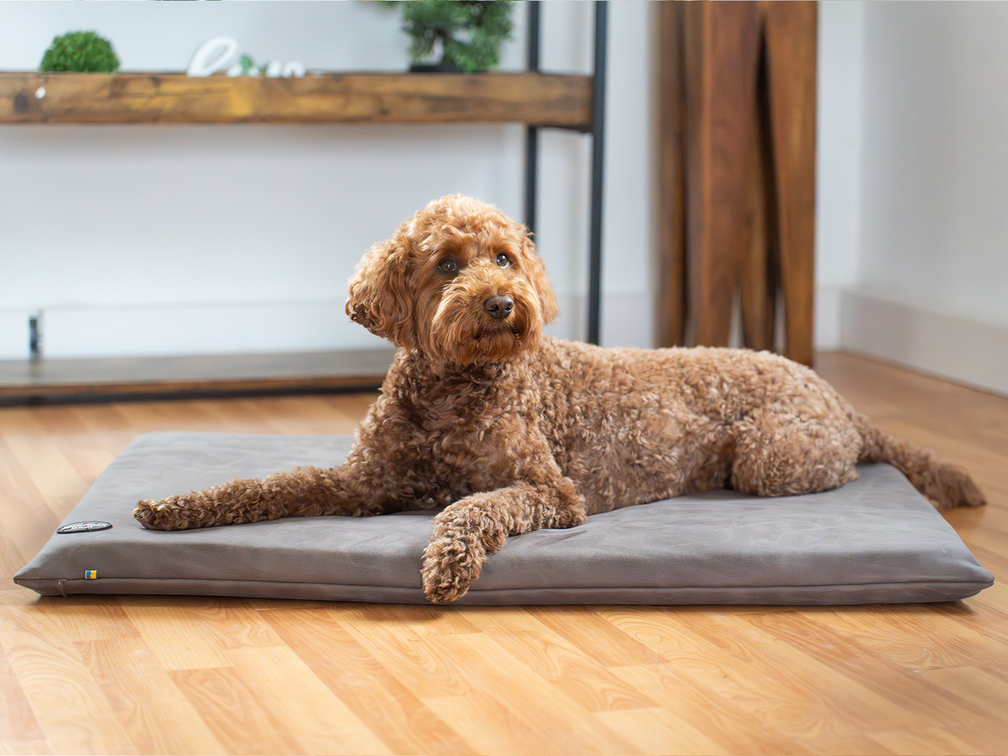 Hundeseng JOKKMOKK vegansk ruskind 