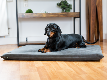 Hundeseng JOKKMOKK vegansk ruskind 