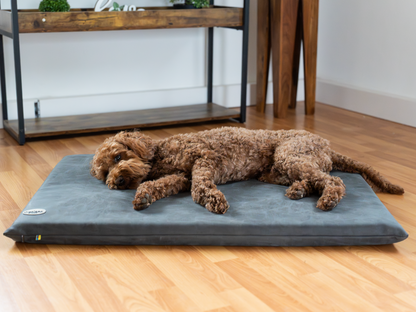 Hundeseng JOKKMOKK vegansk ruskind 