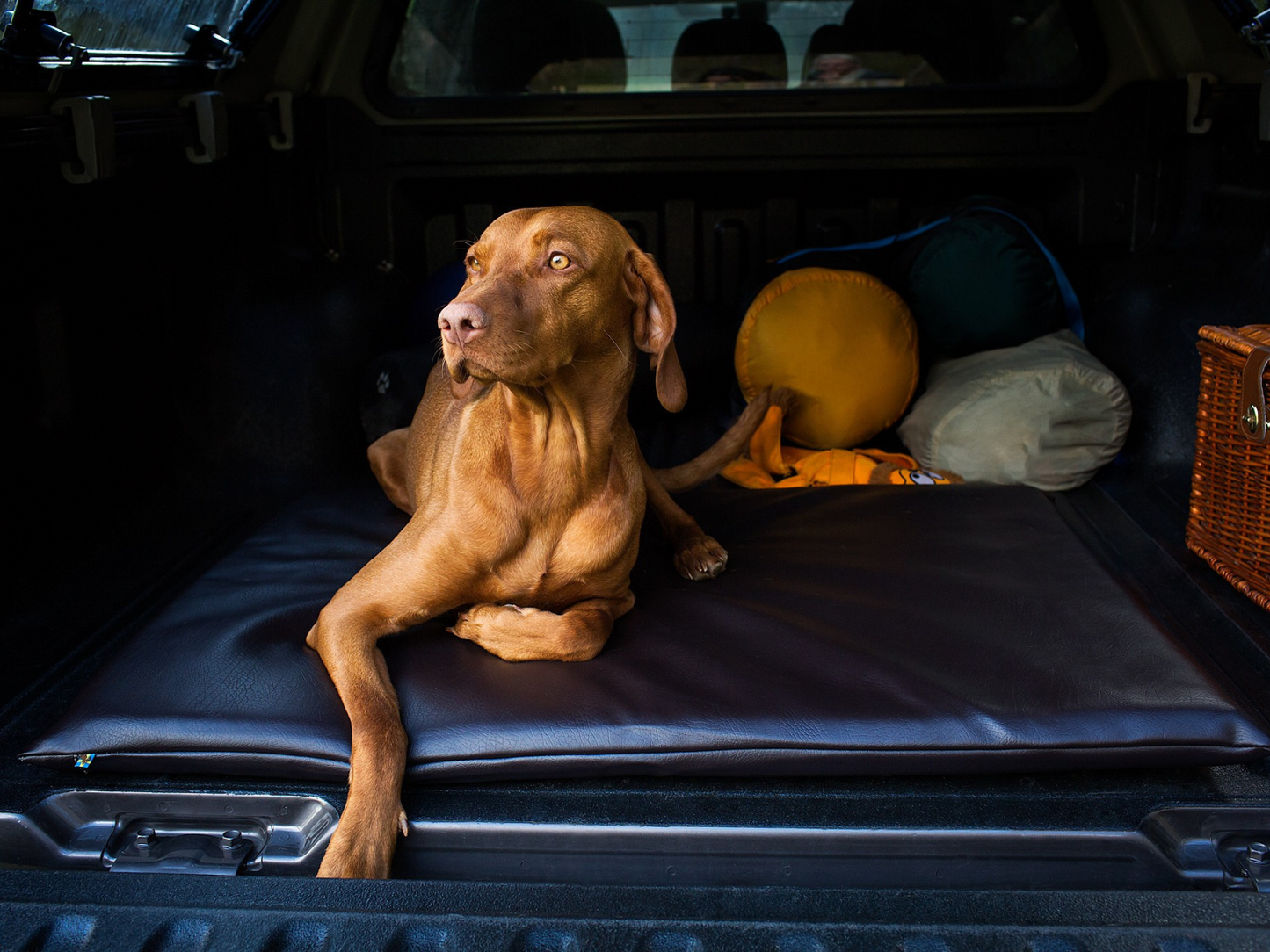 Betræk til JOKKMOKK kunstlæder 