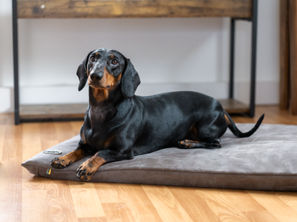 Betræk til JOKKMOKK vegansk ruskind 