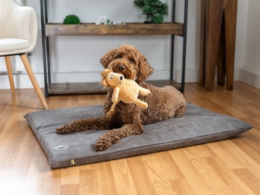 Betræk til JOKKMOKK vegansk ruskind 