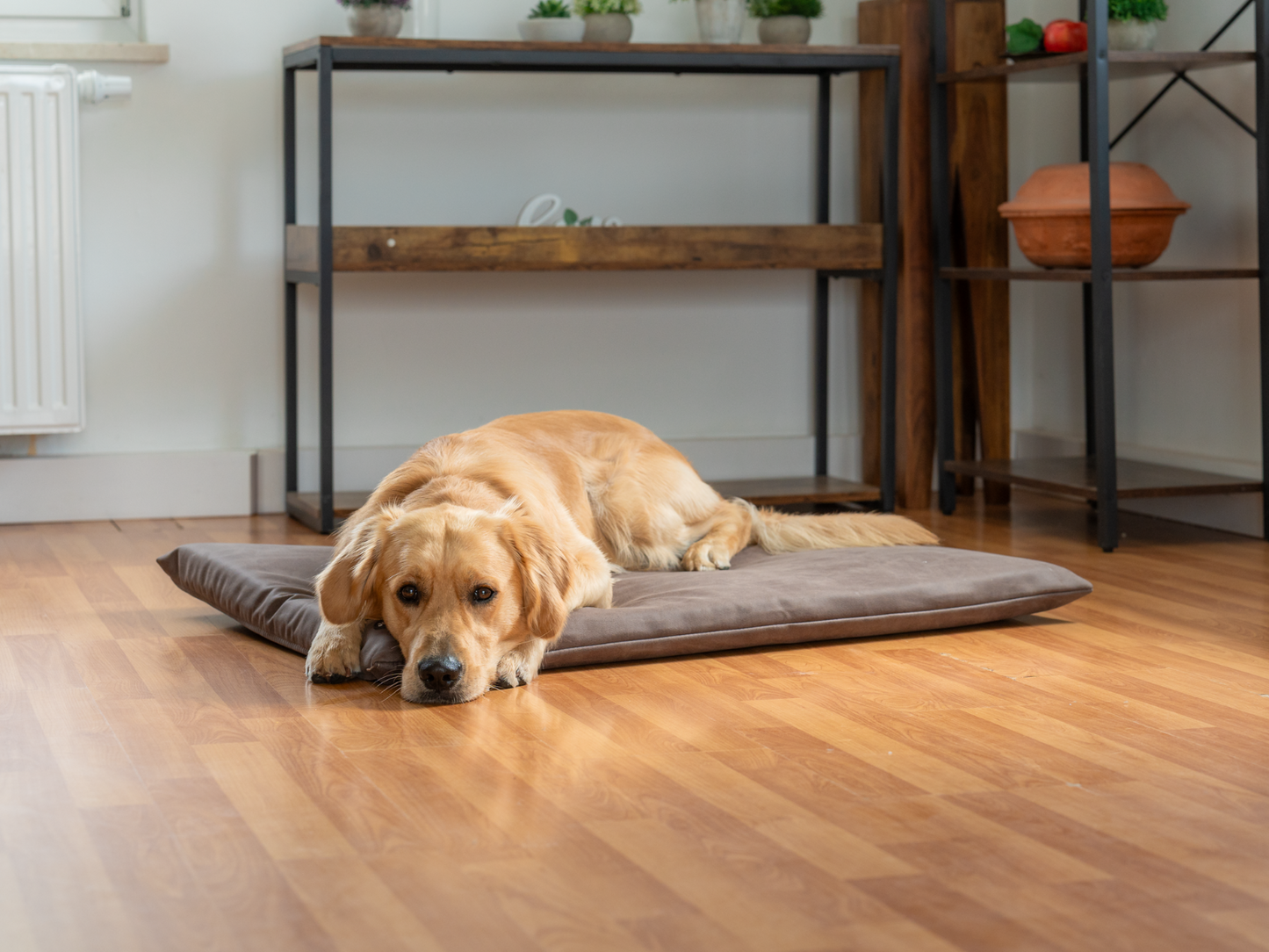 Hundeseng JOKKMOKK vegansk ruskind 