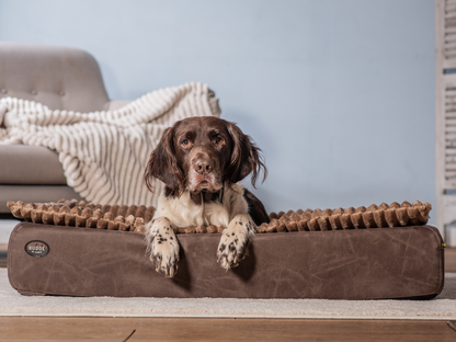 Hundeseng KUDDE vegansk ruskind 