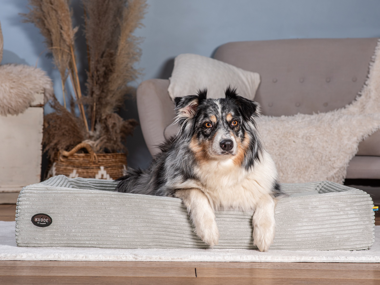 Hundeseng KUDDE Cord 