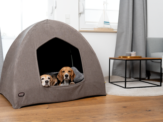 Hundehule til KUDDE IGLU Hydda