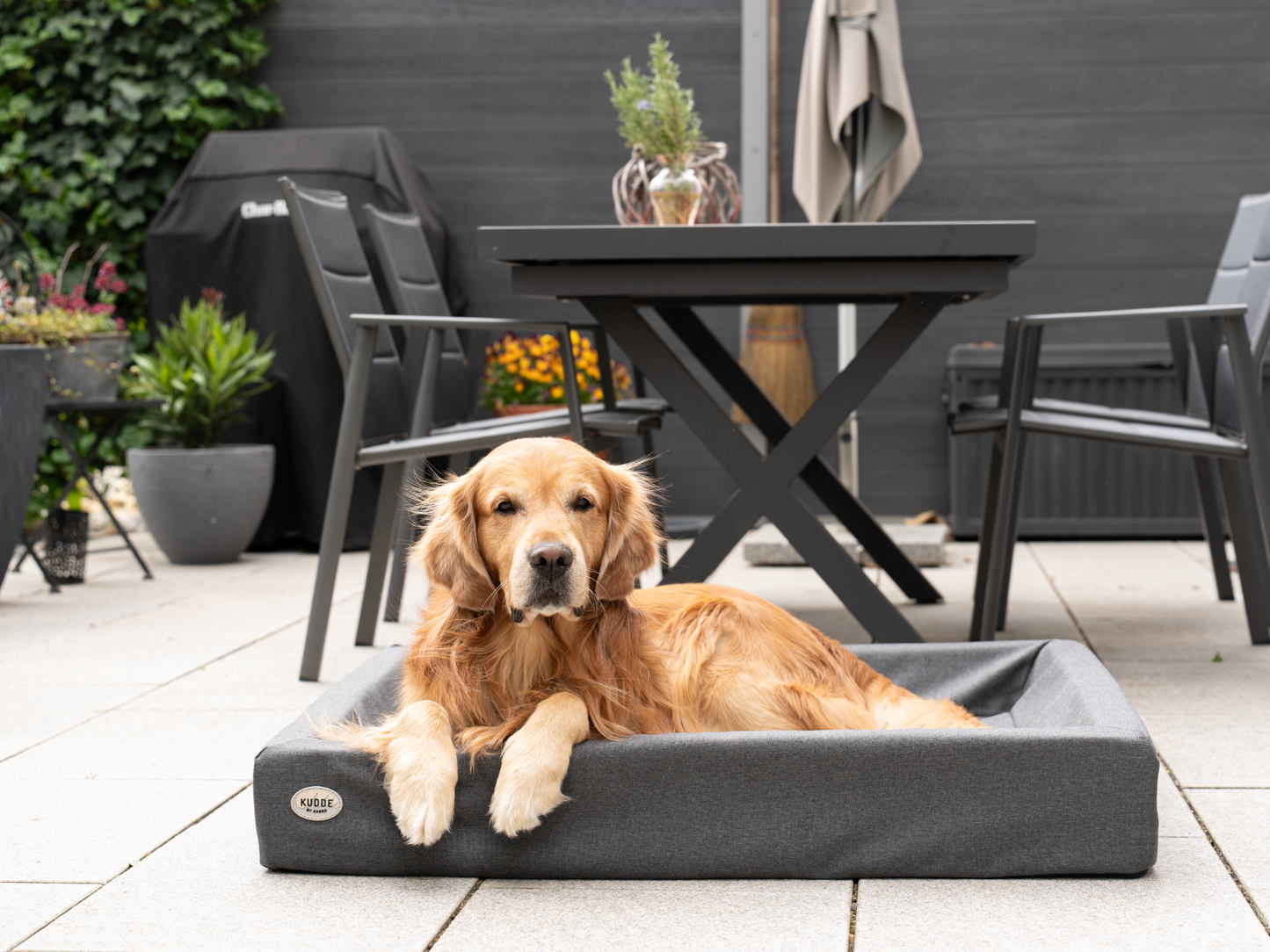Hundeseng KUDDE Udendørs 
