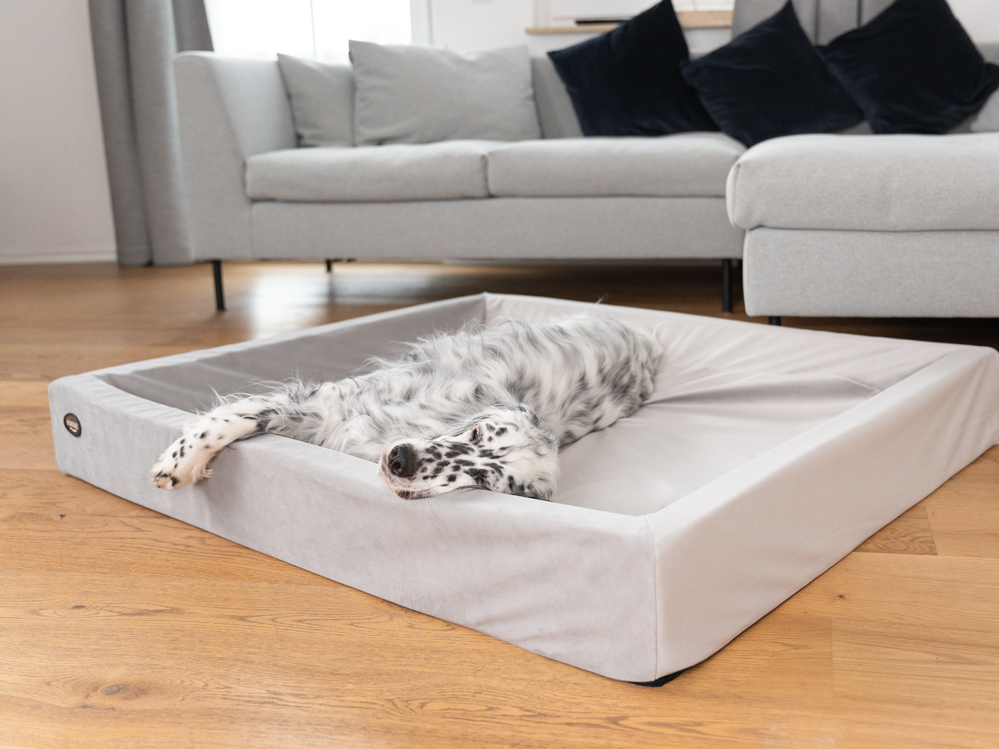 Betræk til KUDDE Fløjl 