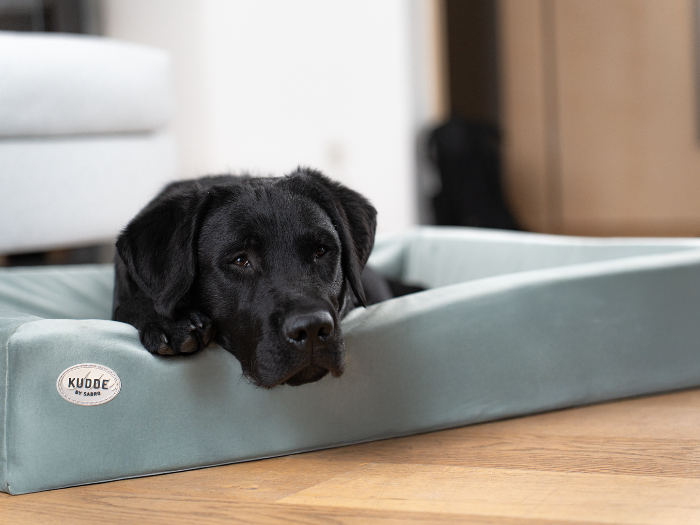 Hundeseng KUDDE Fløjl 