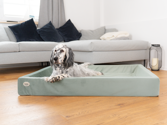 Hundeseng KUDDE Fløjl 