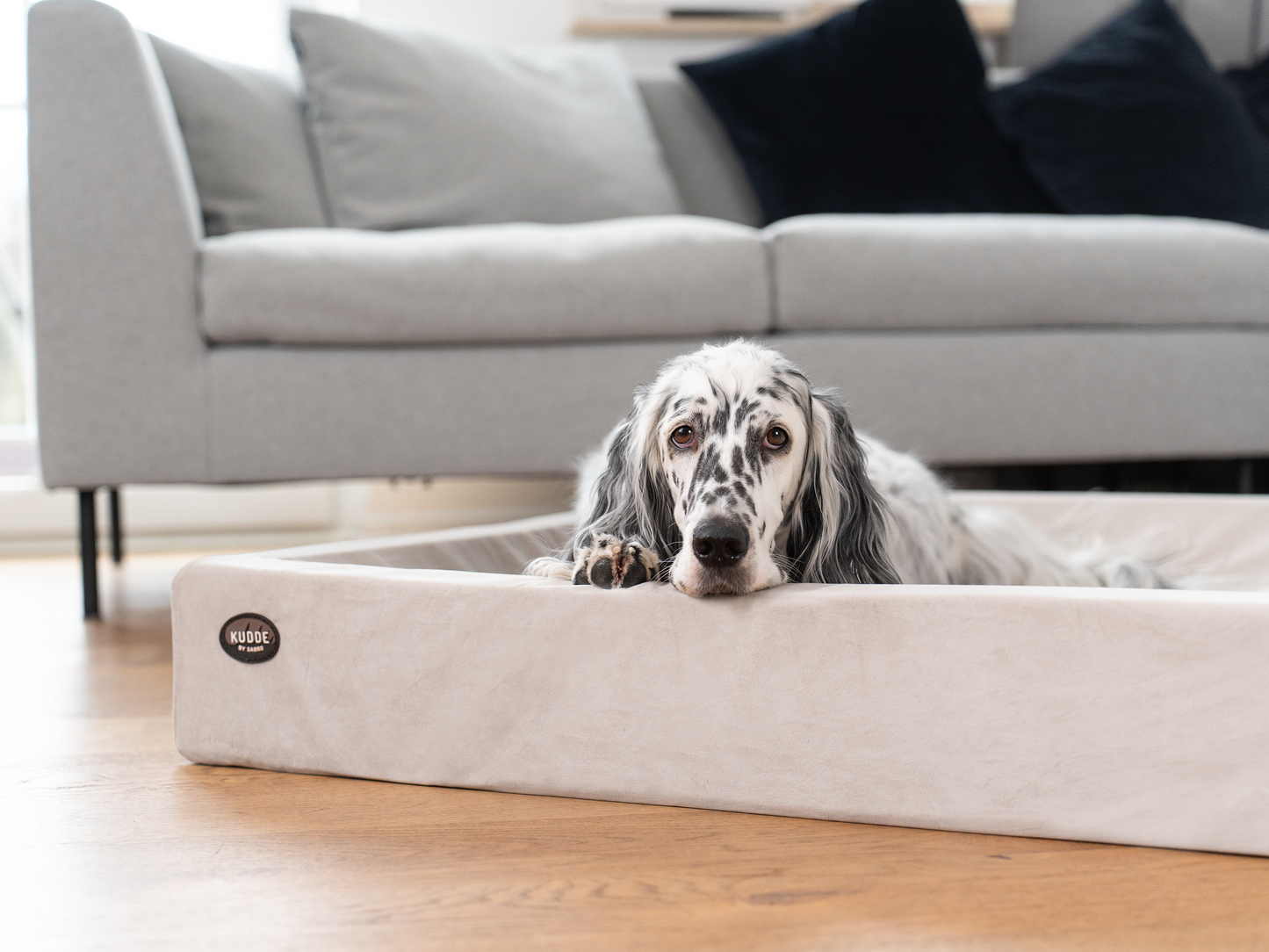 Hundeseng KUDDE Fløjl 