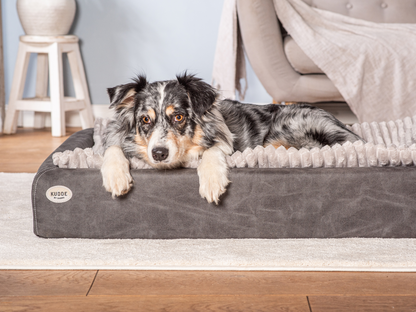 Hundeseng KUDDE vegansk ruskind 