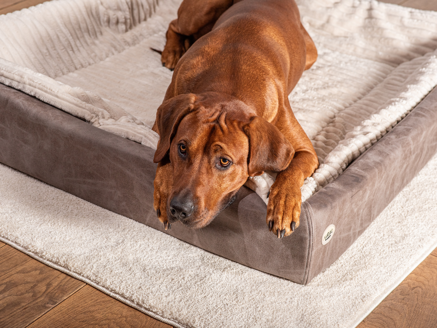 Hundeseng KUDDE vegansk ruskind 