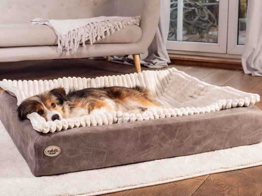 Hundeseng KUDDE vegansk ruskind 