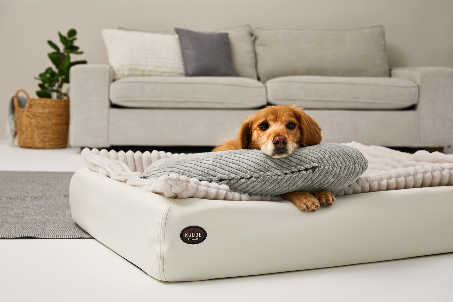 SCHMUSEHØRNCHEN Cord 